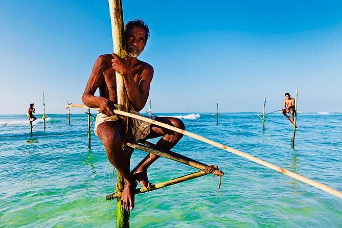 Mirissa Whale Watching, Stilt Fishing & Turtle Tour From Colombo - Booking and Pickup Information