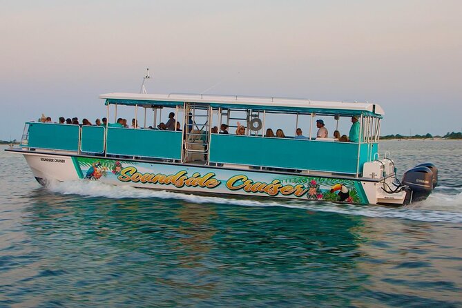Morning Snorkel & Dolphin Adventure - Safety Considerations
