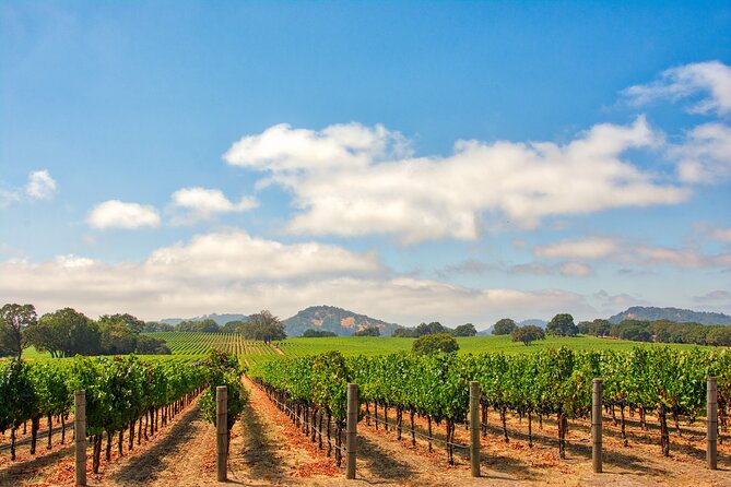 Napa Valley Private Wine Transportation (Up to 6 Passengers) - The Sum Up