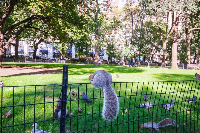New York Celebrity Homes Self-Guided Walking Audio Tour - Tips for Maximizing Your Tour