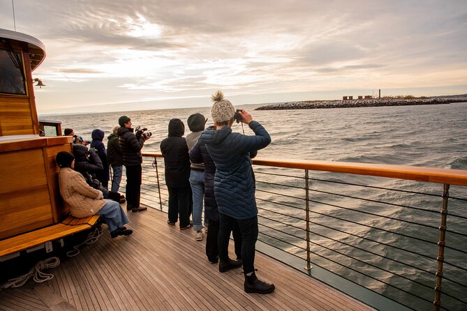New York City Sightseeing and Seals Boat Tour - Exploring the Wildlife