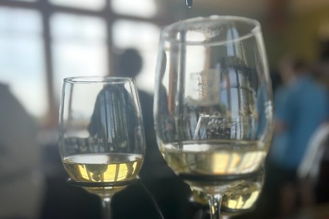 NON BUS Traverse Sunset Wine Tour 3 Winery Old Mission Peninsula - Reviews and Feedback