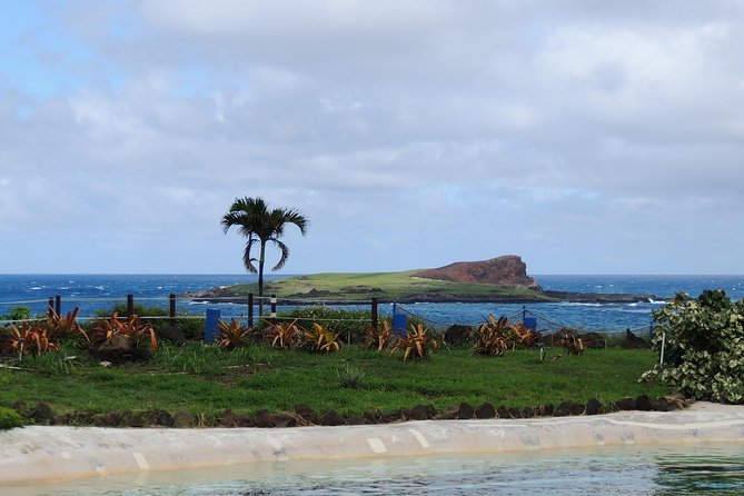 OAHU VOLCANO AND BEACHES - Tour in Spanish - Exploring Oahus Volcanoes