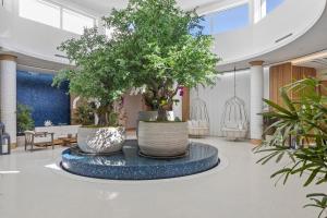 Opal Grand Oceanfront Resort & Spa - Location and Proximity