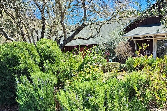 Private Champagne and Wine Tour to Sonoma and Napa - Tasting the Finest Sparkling Wines