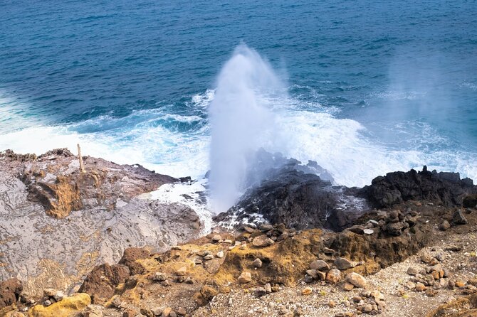 Private Circle Island Tour Across Oahu Paradise - What to Expect on the Tour