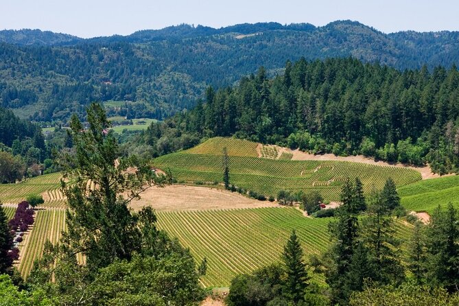 Private Group Wine Tours in Napa Valley - Meeting Information