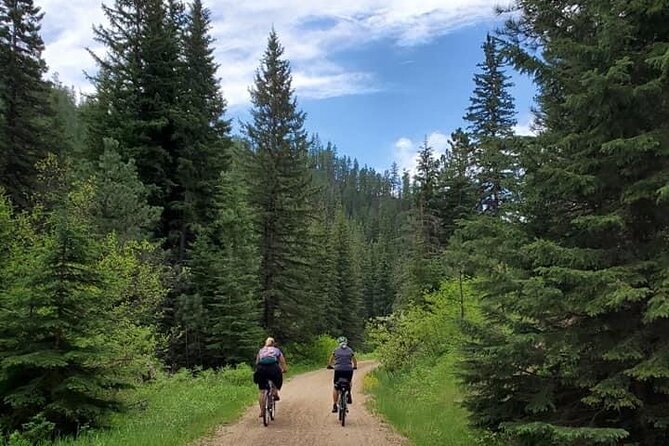 Private Mickelson Trail Bike Tour - What to Expect on the Tour