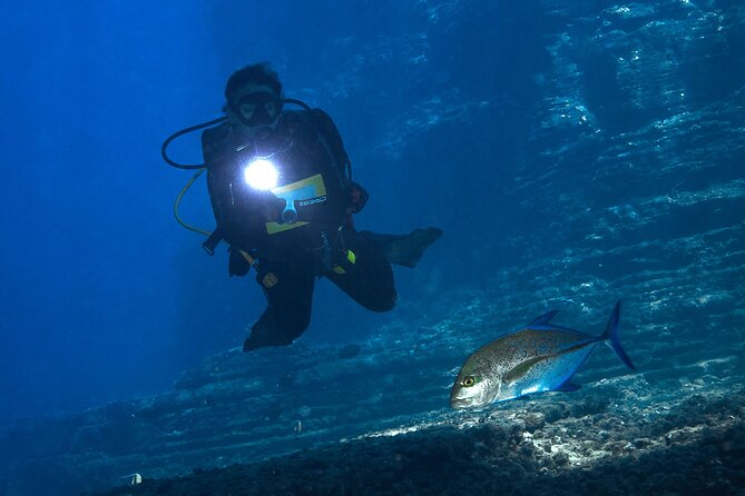 Private Niihau Scuba Charter With 2 or 3 Tank Dive Option - Health and Accessibility Considerations