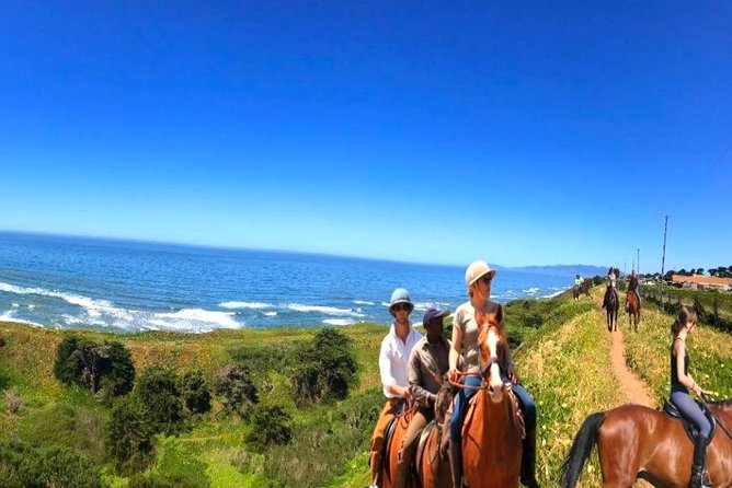 Private Redwoods Tour & Beach Horseback Riding Experience From San Francisco - Tips for an Enjoyable Experience