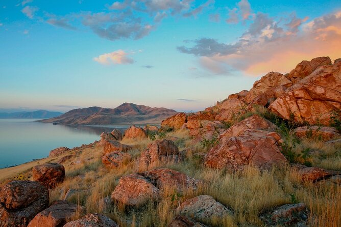Private Wildlife and Scenic Tour on Antelope Island - Wildlife Encounters