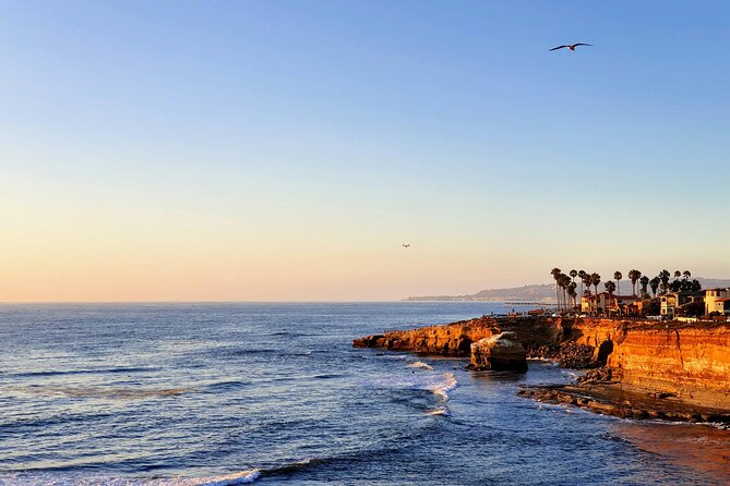 San Diego Private Highlights Tour With Daily Chauffeur - Accessibility and Participation Guidelines