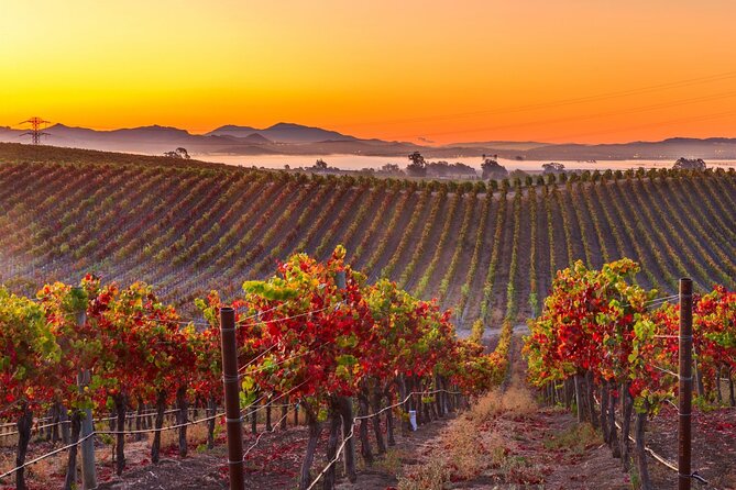 San Francisco Airport Private Transfer to Napa Valley - Additional Services Offered