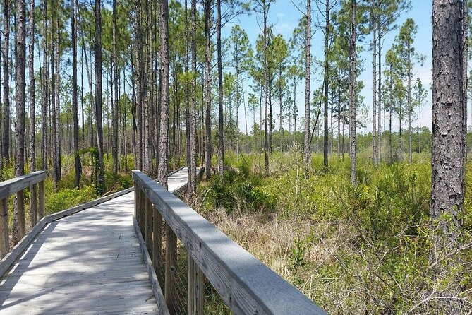 Self Guided E-Bike Tour of Panama City Beach - Meeting Point and Tour Duration