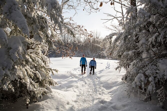 Snowshoe Tour in the Lake Tahoe Mountains - Exploring the Scenic Beauty of Lake Tahoe