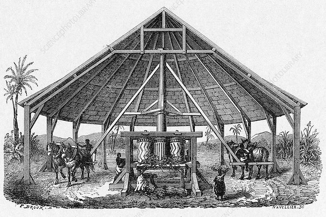The History of Slavery in Louisiana Tour - Sum Up
