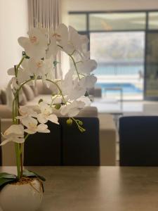 The Pearl Villa 5 BR Swimming Pool With Sea and Mountain View - Al Dana Island Fujaira - Surroundings and Accessibility