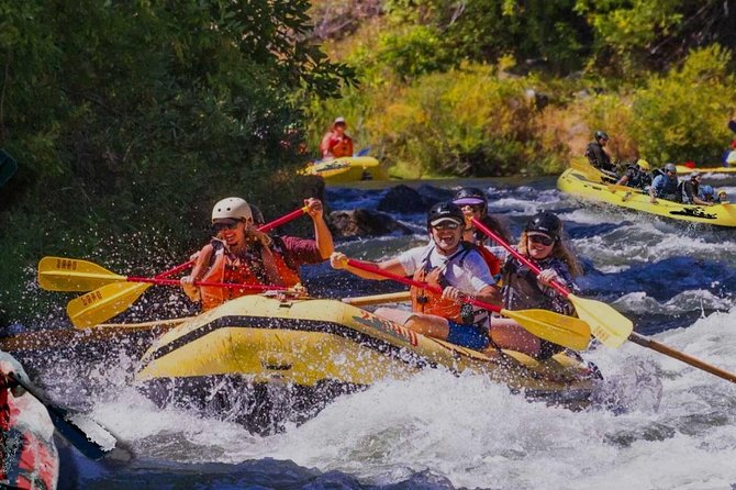 Thrilling Whitewater Rafting Outdoor Adventure Picnic Lunch Included - Enjoy a Scenic Picnic Lunch