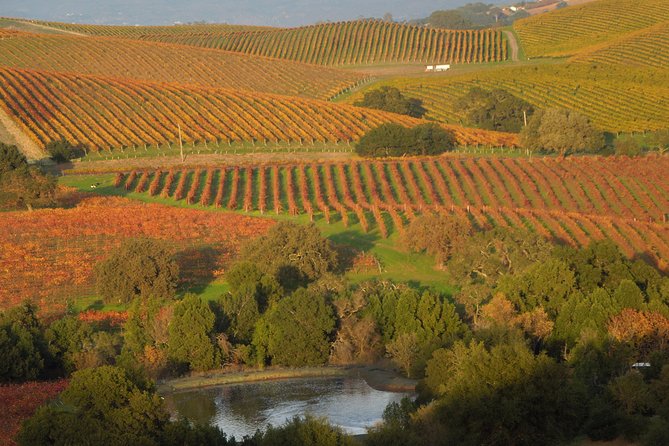 Top Notch Napa Valley Private Custom Tour - Participation and Conditions