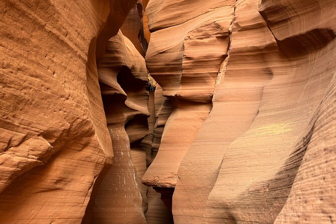 Upper Antelope Slot Canyon Tour - Capturing Memories