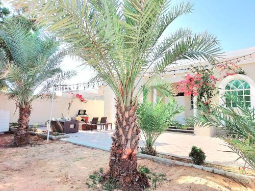 Villa 9 Palms Beach - Questions About Your Stay