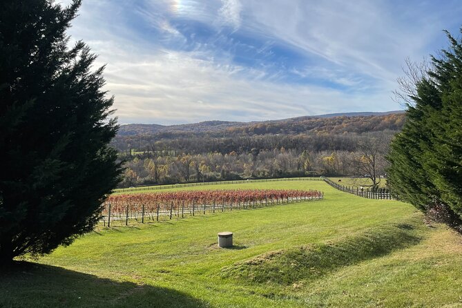 Virginia Winery Excursion by Luxury Vehicle Three Wineries - Health and Accessibility Information
