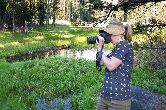 Yosemite Full Day Private Tour - Safety and Health Considerations
