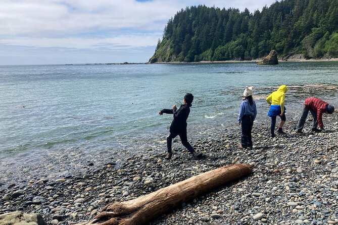 6-Day Young Adventurers Summer Camp in Olympic National Park - Good To Know