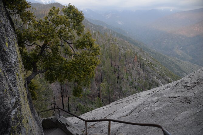 2 Days Private Tour to Sequoia and Kings Canyon Parks From LA - Booking Flexibility