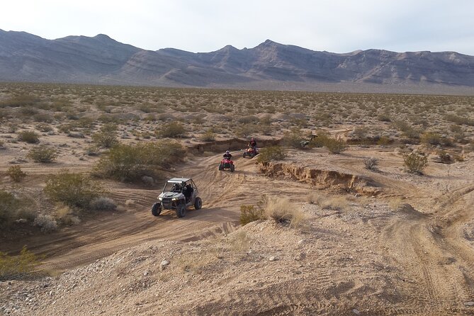 2 Hour Las Vegas ATV Tour - Accessibility and Health Restrictions