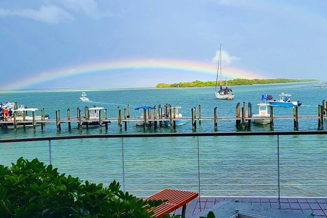 3-Hour Tikibar Private Hopping in Sarasota - Exploring Sarasotas Best Tikibars