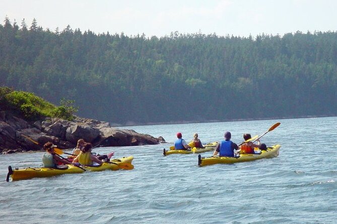 Aqua Safari Kayak Tour Departing Southwest Harbor - Sum Up