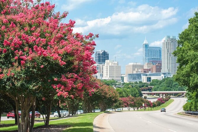 Arrival Transfer: Charlotte Douglas Airport CLT to Charlotte in Business Car - Vehicle Options
