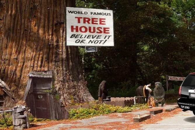 Avenue of the Giant Redwood Private 1 Day Tour From San Francisco - Important Cancellation Policy