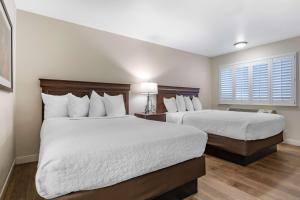 Best Western Rose Garden Inn - COVID-19 Safety Measures