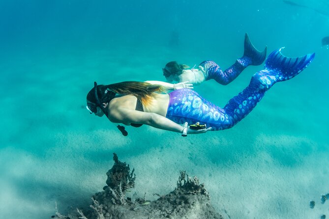 Blue Heron Bridge Mermaid Experience - Why Choose the Blue Heron Bridge Mermaid Experience