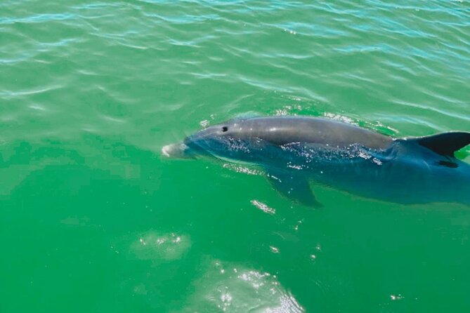 Boat Rentals to Shell Key, Treasure Island and St. Pete Beach - Exploring Shell Key, Treasure Island, and St. Pete Beach