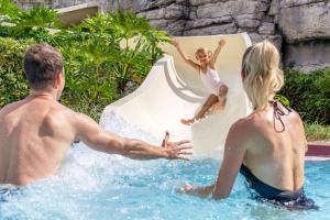 Caribe Royale Orlando - Pet-Friendly Accommodations