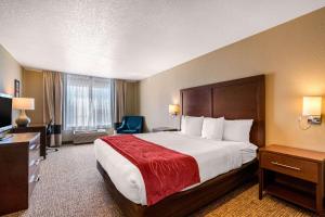 Comfort Inn Lathrop Stockton Airport - Payment Methods