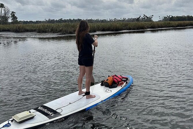 Crystal River Reserve State Park Electric Paddleboard Rentals - Recommendations for a Great Experience