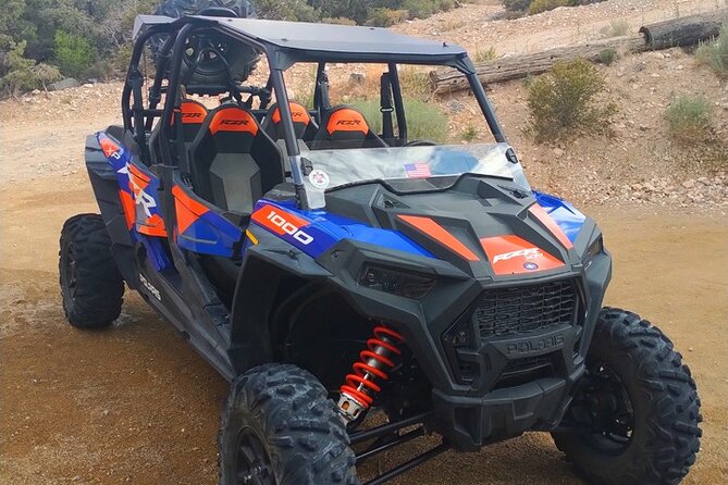 DZRT Splendor Adventure: RED ROCK RIM UTV TOUR - Petroglyphs & Pioneer Saloon - Additional Information and Tips