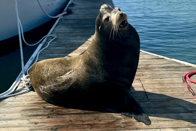 Fisherman's Wharf and Pier 39 Maritime Food Tour - Accessibility and Additional Information