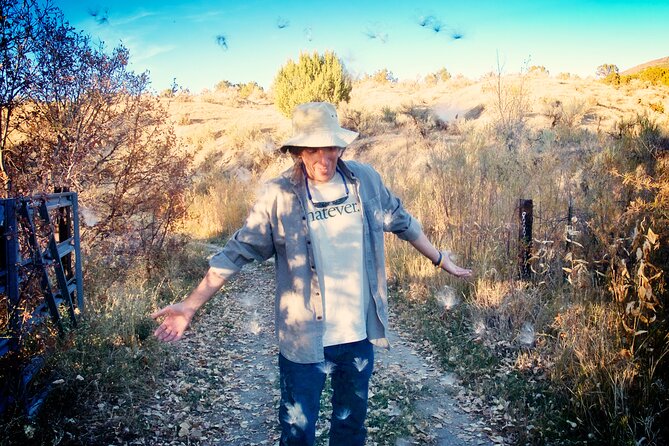 Forest Bathing and Meditation on Mt Lemmon - Booking and Availability
