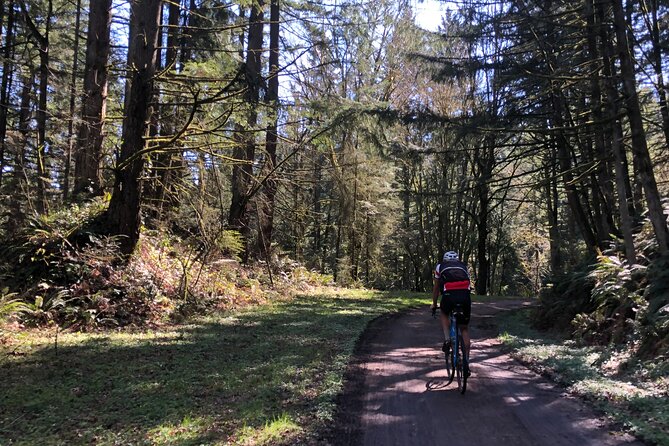 Forest Park Carbon Gravel Bike and E-Bike Tour - Tips for a Great Experience