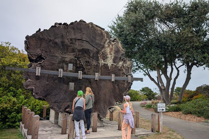 Fort Bragg California Scavenger Hunt Walking Activity and Game - Group Size and Pricing