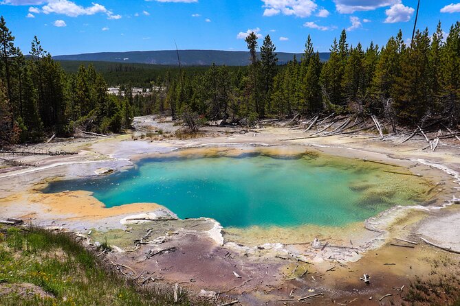 Guided Yellowstone National Park Trip - Picnic Lunch and Refreshments