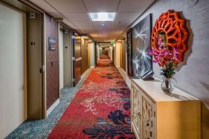 Hampton Inn San Francisco Airport - Nearby Attractions