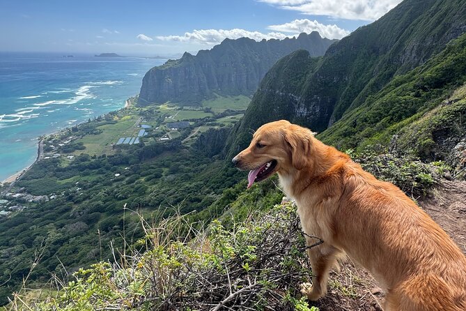 Hawaii Oahu Canyon Rappel & Hike Expedition Tour - Adventurous Hiking and Rappelling