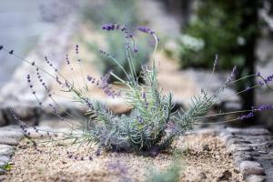 Hidden Valley Inn - Frequently Asked Questions
