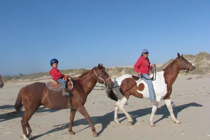 Horseback Ride on the Beach & Alcatraz Tour in San Francisco - Exploring Alcatraz Island